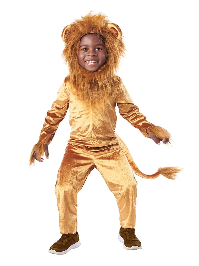 Seasons Cuddly Lion Halloween Costume Animal Costume Onesie for Kids, (10-12)