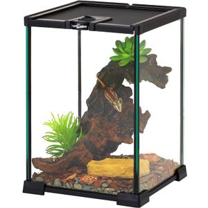 REPTIZOO Mini Reptile Glass Terrarium Tank 8" x 8" x 12" Full View Visually Appealing Top Feeding & Venlitation Small Reptile Glass Habitat