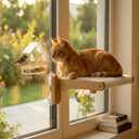Cat Window Perch with Bird Feeder – Upgraded Bird Watching Solution for Indoor Cats, Foldable Cat Hammock Seat with Strong Suction Cups, Relieves Boredom & Stimulates Natural Instincts (Nature)