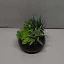 Fake Plants Artificial Succulents in Pots Faux Succulent Arrangement Potted Plant with Black Ceramic Pot for Home Decor Modern Office Desk Bathroom Shelf Living Room Indoor & Outdoor Decoration