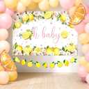 Oh Baby Backdrop Lemon Baby Shower Decorations Pink and Yellow Balloons Summer Lemon Citrus Themed Birthday Party Bridal Shower Decor Supplies