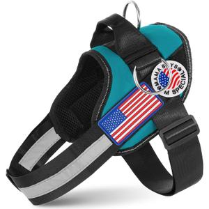 JUSTYEZI Essential Dog Harness with 3 Leash Clips - No-Pull, Adjustable, Comfortable Pet Vest Harness for Dogs - Easy On, No Choke, Reflective, Padded Harness for Walking and Training (XS(Neck:11-14",Chest:14-16"), Turquoise)