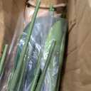 Bird of Paradise Artificial Plant, 4ft Tall Faux Plant Indoor with 8 Trunks, Perfect Indoor Artificial Tree for Home Decor in Living Room, Office, and Bedroom