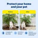 PetSafe SSSCAT Refill Can for Motion Activated Automatic Spray Pet Deterrent for Cats and Dogs