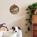 TLESKE Vintage Fall Pumpkins Round Wall Art Decor Framed 10x10, Autumn Rustic Farmhouse Canvas Wall Art Prints Artwork, Thanksgiving White Pumpkins Wall Hanging Room Door Decor for Living Room Bedroom