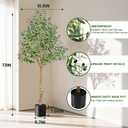 Artificial Olive Tree Indoor, ANTING 6FT Tall Faux Olive Tree with Natural Wood Trunk & Lifelike Fruits, Fake Silk Plant with Pot, Artificial Trees for Modern Home |Office |Living Room |Office Decor