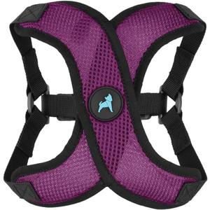 Gooby Comfort X Step in Lite Dog Harness - Choke Free, Escape Free with Light Breathable Mesh - Step in Dog Harness for Small Dogs Only - Quick Release Buckle, Metal D-Rings - Purple, Small (Small (14-17"))