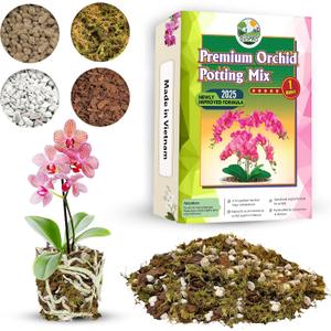 [Upgraded] DUSPRO Orchid Potting Mix for Repotting with Forest Moss, Pine Bark, Perlite & Pumice, Orchid Bark Potting Mix, Orchid Repotting Soil, Drainage Indoor Potting, Orchid Pot Not Included,1 QRT