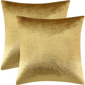 GIGIZAZA Gold Velvet Decorative 20x20 Throw Pillow Covers for Sofa Bed 2 Pack Soft Cushion Cover (20" x 20" (Pack of 2))