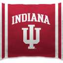 Pegasus Sports NCAA Plush Logo Bed Pillow, 20" x 26"
