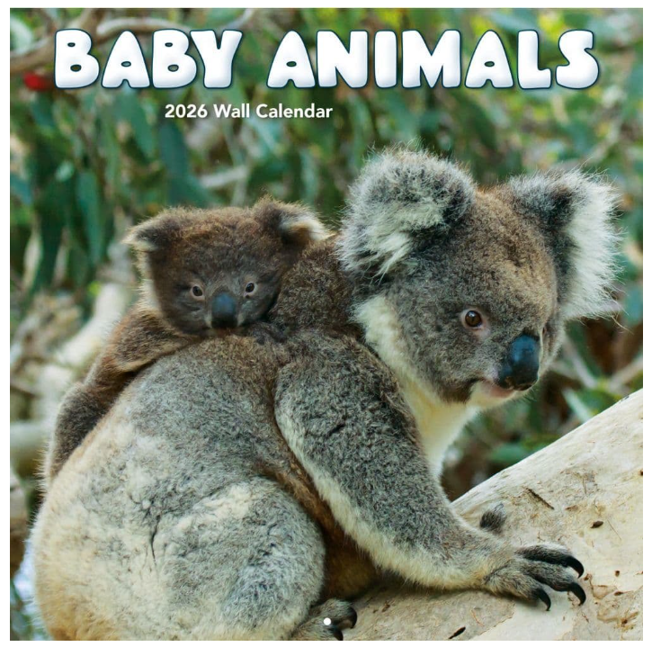 Turner Licensing, Baby Animals Photo 2026 Wall Calendar