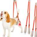 Mixweer 2 Pcs Dog Support Harness for Back Legs Dog Rear Lifting Sling Aid with Handle and Shoulder Strap Hind Leg Support for Pet Mobility Helps Puppy with Poor Stability Joint Injuries(Orange)