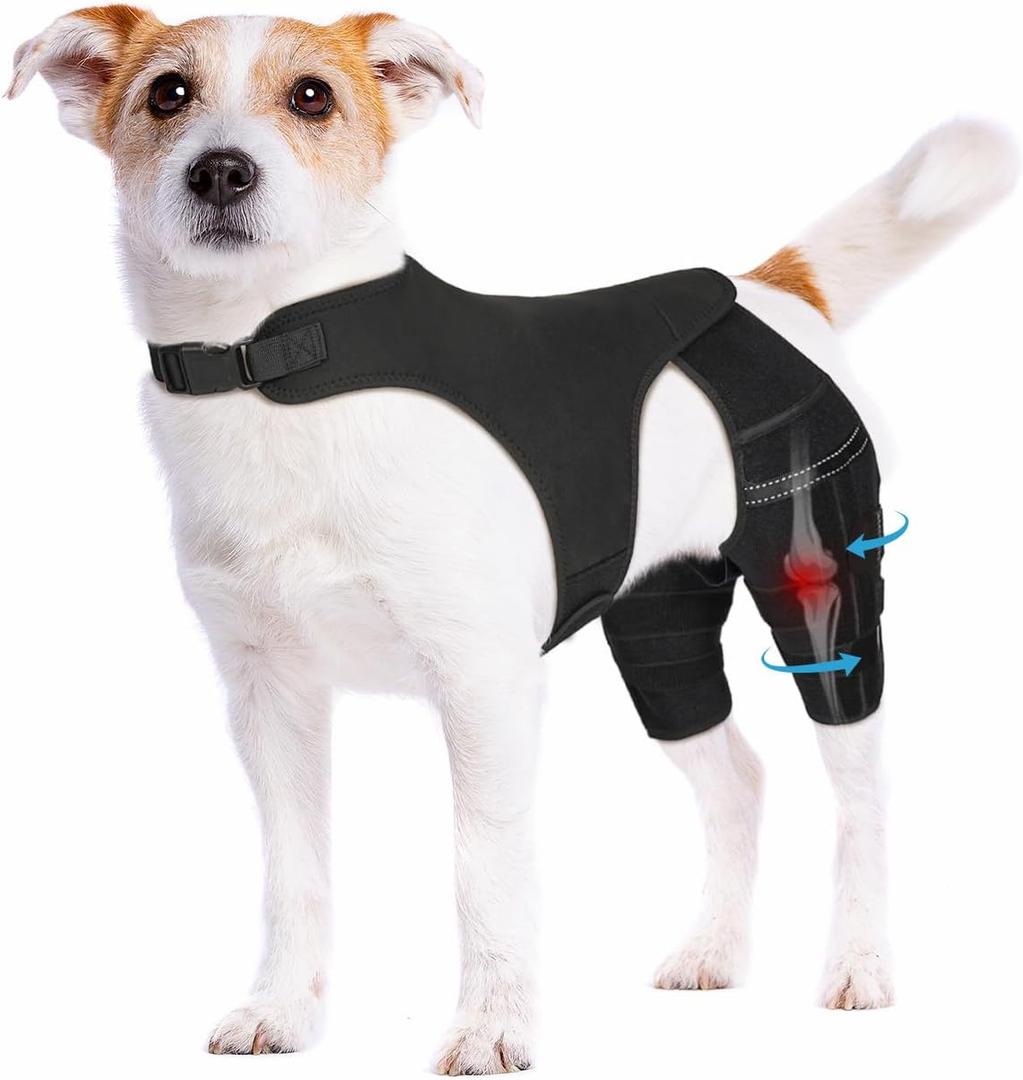 Pawfun Dog Knee Brace for Torn ACL Hind Leg, Adjustable Dog Leg Braces for Back Leg with 4 Metal Stabilizers Helps with Torn CCL, Luxating Patella, Ligament Injuries, Hip Dysplasia, Large