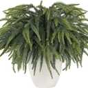 HOHOTIME 50 Pcs Norfolk Pine Stems, Christmas Greenery Stems Branches for Vase, Artificial Pine Picks, Fake Pine Stems Decoration,Faux Pine Sprigs for Garland Wreath Tree Home DIY Xmas Decor