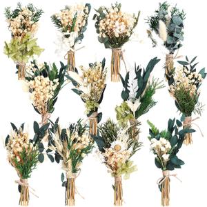 Layhit 12 Pack Boho Dried Flower Bouquet Mini Wedding Handmade Dry Flowers Decor for Vase Crafts DIY Photo Boutonniere for Men Floral Plant for Bridesmaid Gift Birthday Decor (Eucalyptus)