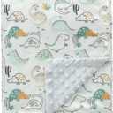 CREVENT Fuzzy Baby Nursery Blanket for Boys Soft Plush Receiving Gift for Newborns, All Season Use - Dinosaur 30x40 Inches