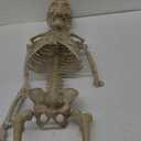 1-Pack 36-Inch Skeleton Halloween Decoration, 3ft Posable Halloween Skeleton Decor with Movable Joints for Lawn, Haunted House, Graveyard, Trunk or Treat, Lifelike Skeleton Model