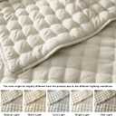 WDCOZY Beige King Size Quilt Bedding Sets with 2 Pillow Shams, Neutral Lightweight Soft Bedspread Coverlet, Quilted Blanket Thin Comforter Bed Cover for All Season, 3 Pieces, 104x90 inches