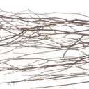 10pcs Elegant Dried Twig Decoration Natural Branches for Home Decor Vase Fillers Wedding Party Arrangements Photography Props Rustic Centerpieces