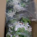 Artificial White Flower Tree 5FT Tall Faux Floral Plant with Green Leaves - No Maintenance Indoor Outdoor Home Office Porch Decor Housewarming Gift (1 Pack)