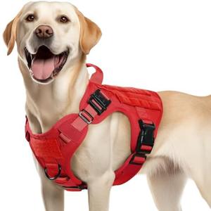 rabbitgoo Tactical Dog Harness Medium Sized, Heavy Duty Pet Harness with Handle, No-Pull Service Vest Medium Breed, Adjustable Military Dog Vest for Training Hunting Walking, Red, M