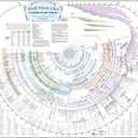 Amazing Bible Timeline with World History (Standard 37" x 45")