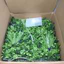Greenery Grass Wall Boxwood Plant Panels: 20"x20"(16P) with UV Resistant Leaves Artificial Ivy Privacy Hedge Fence Screen for Backdrop,Garden and Indoor Outdoor Plant Wall&Fence Covering