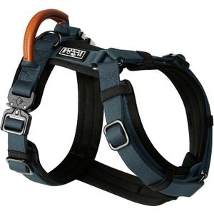 MADE TO ROAM Premium Explorer Harness - Y-Shaped Dog Harness with Adjustable Durable Nylon, Soft Padding, Metal Buckles and Leather Handle for Small, Medium, Large Dogs (Colorado Nightsky, Size 5)