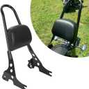 ECOTRIC Detachable Sissy Bar Passenger Backrest Compatible with 2004-Up Harley Sportster XL883C 883R XL1200R 1200C 1200S XLH883 XLH1200 Motorcycle Backrest W/Cushion Pad