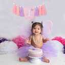 Butterfly 1st Birthday High Chair Banner - Fairy Pink and Purple Tassel, Spring Decoration for Girls (Highchair Banner)