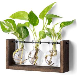 Mkono Plant Propagation Station with Wooden Stand, Wall Hanging Glass Planter Tabletop Terrarium Bulb Vase for Hydroponics Plants Home Office Decor (Medium, Brown)