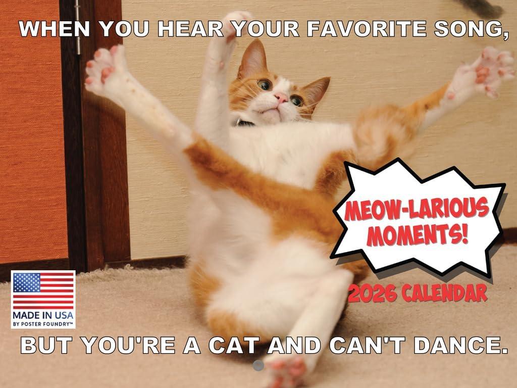 Funny Cat Calendar 2026 Funny Gift Cats Monthly Wall Calender 12 Month | American Made In The USA