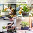 Click & Grow Indoor Herb Garden Kit with Grow Light | Smart Garden for Home Kitchen Windowsill | Easier Than Hydroponics Growing System | Vegetable Gardening Starter (3 Basil Pods Included), Grey