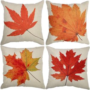 Pillow Cases 4 Pack 20 In