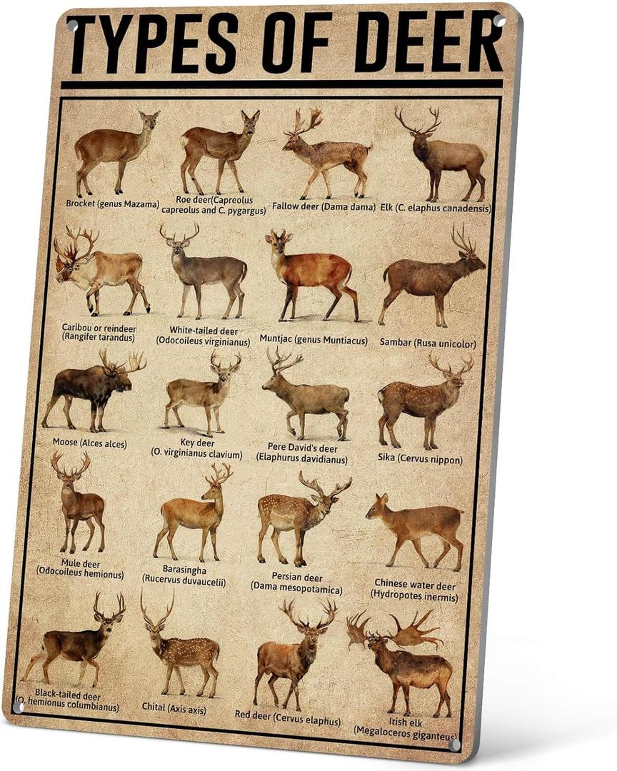 HYBLOM Rustic Types Of Deer Metal Sign, Vintage Farmhouse Wall Art Tin Sign - Hunting Decor & Educational Poster for Home, Man Cave, and Bar 8x12 Inches