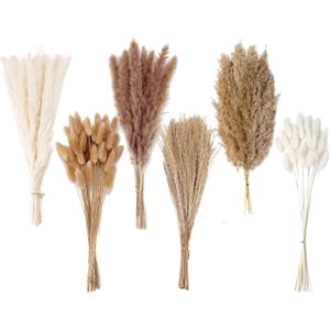 Dried Pampas Grass Decor, 120 PCS Pampas Grass with Bunny Tails Dried Flowers, Reed Grass Bouquet for Wedding, Boho Flowers, Home Table Decor, Rustic Farmhouse Party (White and Brown)