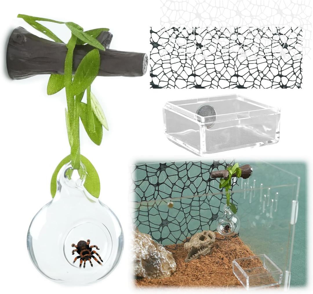 5Pcs Jumping Spider Hide Enclosure Habitat Accessories with Decoration Glass Ball, Feed Bowl and Climbing Web, Spider Hideout Accessories, Suitable for Small Reptile (Not Included Enclosures)