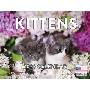 5 x Kitten Calendar 2026 Cat Kitty Gifts Monthly Wall Calender 12 Month | American Made In The USA