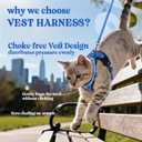 rabbitgoo Cat Harness and Leash for Walking, Escape Proof Soft Adjustable Vest Harnesses for Cats, Easy Control Breathable Reflective Strips Jacket, Navy Blue, S