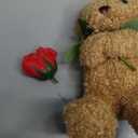 Civaner Bear Stuffed Animal Gift with Rose Funny Cute Bear Stuffed Animal Plush Gift for Mother Day Mom Birthday Wedding Christmas, 11.8 Inches(Beige