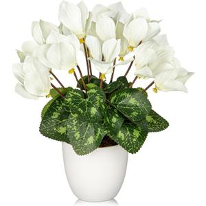 Hollyone Artificial Cyclamen Flowers Plant Potted Fake Silk Flower Plants in White Pot Faux White Cyclamen Flowers Arrangement Home Decor Office Bathroom Shelf Desk Decorations