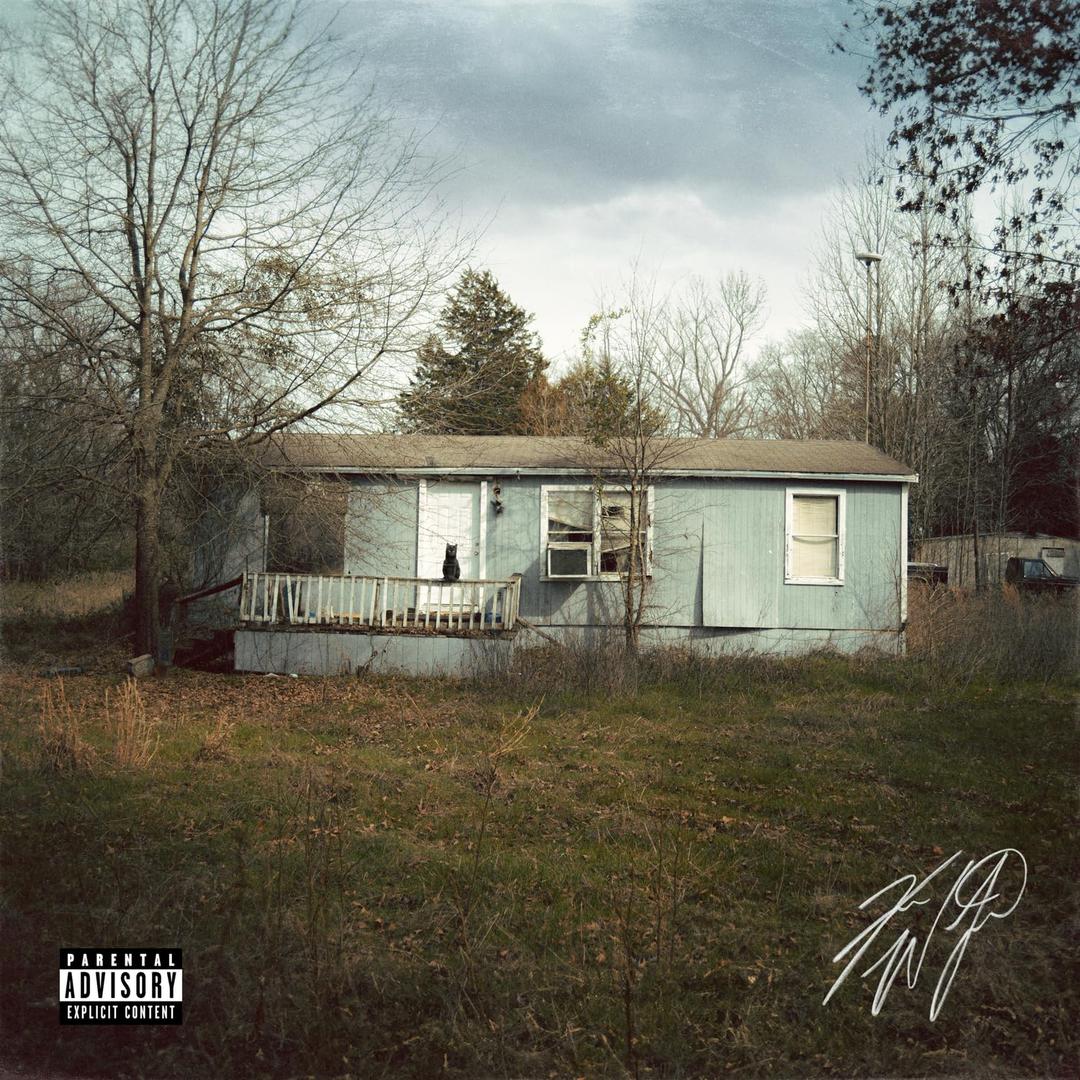 9 Lives explicit_lyrics, Vinyl 