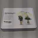 Full Spectrum Grow Lights for Indoor Plants 15-62 Inches Height Adjustable Aluminum Alloy Plant Growing Lamps with Detachable Tripod Stand, Auto On/Off Timer (Full Spectrum, Three Heads)