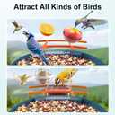 Birdsnap PAV-Bird Feeder with Camera,2K HD with 64GB Card, AI Identify Smart Bird House Cam Solar Panel,Live Stream,Motion Detection,Auto Record Video for Backyard Outdoors,Ideal Gift for Bird Lover