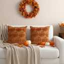 2 x Thmyo Fall Decorative Throw Pillow Covers 18x18 inch Set of 2, Caramel Pumpkin Cushion Cases for Autumn, Soft Faux Fur DIY Pillowcases for Sofa Couch Bedroom Thanksgiving Winter Home Decor Gift