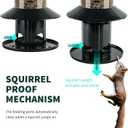 Squirrel Proof Bird Feeder - 360 Feeding Perch Tray for Outdoor Hanging Wild Bird Seeds, Dark Green.