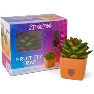 ZendoZones Succulent Fruit Fly Trap  Serene Sandy Design with Terracotta Base  Eco-Friendly Indoor Fruit Fly Control  Easy-to-Use Decorative Trap