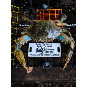 Folding Bridge Blue Crab Trap, Heavy-Duty Metal Wire Mesh Drop-Net, Collapsible Foldable Design, 15" x 15" x 7"