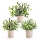 Amazon.com - Der Rose 3 Pack Mini Potted Fake Plants Artificial Plastic Eucalyptus Plants Topiaries for Home Office Desk Farmhouse Room Bathroom Decor