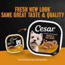 Cesar Classic Loaf in Sauce Adult Wet Dog Food Chicken and Veal Recipe, 3.5 oz. Easy Peel Trays, 24 Count (Pack of 1) (EXP 02/15/28)